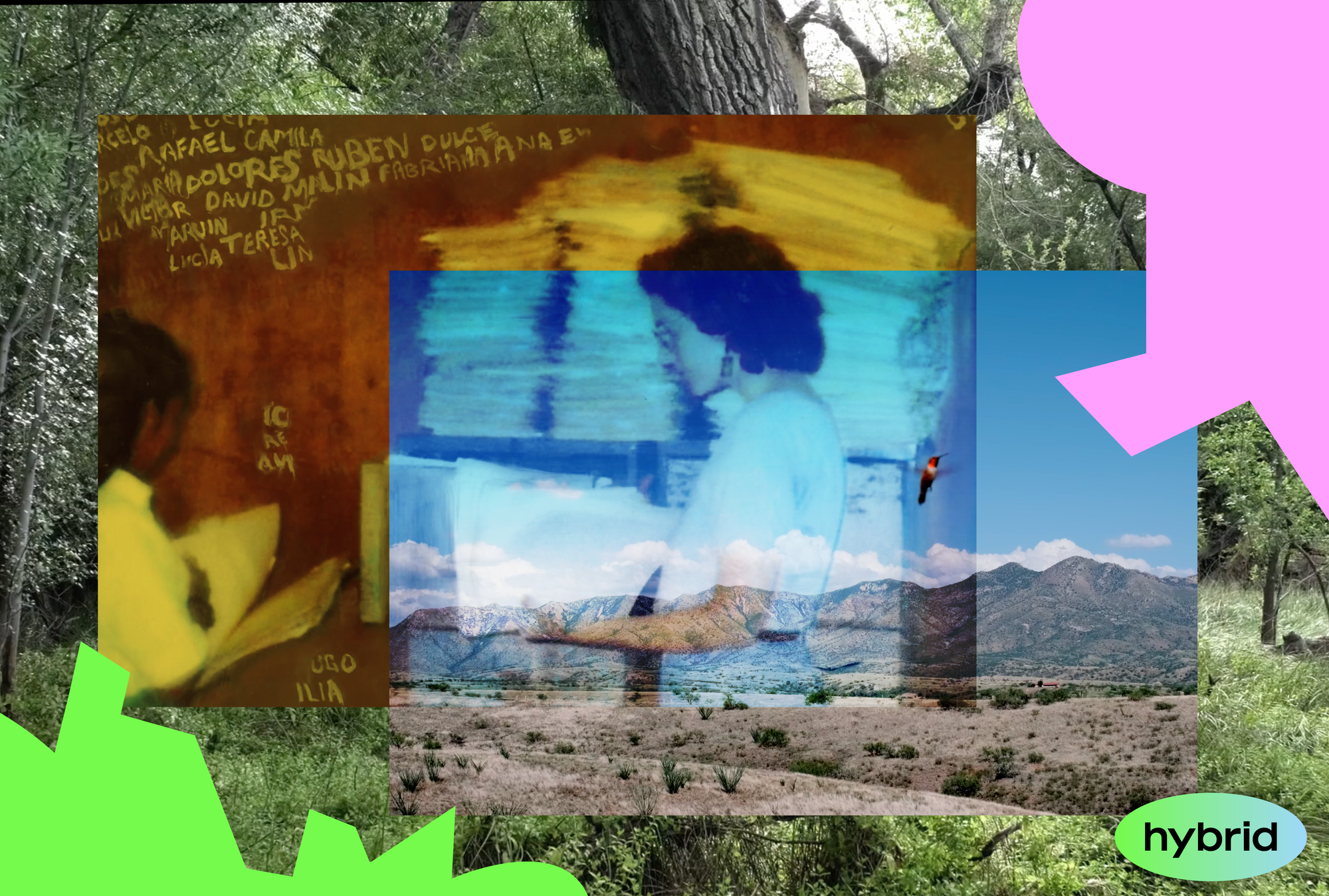 Practices of Regard: Images, Memories, Words